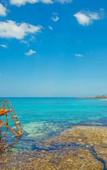Туры в отель Marlita Beach Hotel Apartments Туры в отель Marlita Beach Hotel Apartments