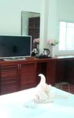 Туры в отель Siam Tara Resort Туры в отель Siam Tara Resort