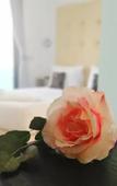 Туры в отель Rethymno Hills Apartments Туры в отель Rethymno Hills Apartments
