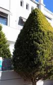 Туры в отель Rethymno Hills Apartments Туры в отель Rethymno Hills Apartments