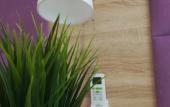 Туры в отель Amosov Guest House Туры в отель Amosov Guest House