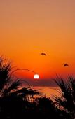 Туры в отель Alex Beach Apartment 31 Туры в отель Alex Beach Apartment 31