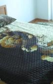Туры в отель Guest House Kiparis Туры в отель Guest House Kiparis