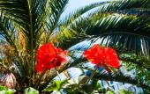 Туры в отель Granat Guest House Туры в отель Granat Guest House