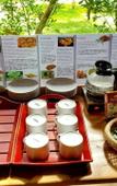 Туры в отель Karunakarala Ayurveda Resort Туры в отель Karunakarala Ayurveda Resort
