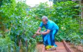 Туры в отель Karunakarala Ayurveda Resort Туры в отель Karunakarala Ayurveda Resort