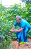 Туры в отель Karunakarala Ayurveda Resort Туры в отель Karunakarala Ayurveda Resort