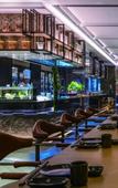 Туры в отель InterContinental Beijing Sanlitun by IHG Туры в отель InterContinental Beijing Sanlitun by IHG