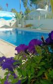 Туры в отель Orsi Hostel Туры в отель Orsi Hostel