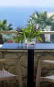 Туры в отель Anaxo Resort Туры в отель Anaxo Resort