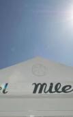 Туры в отель Milena Hotel Туры в отель Milena Hotel