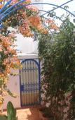 Туры в отель Riad Marlinea Туры в отель Riad Marlinea