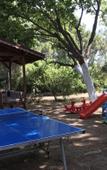 Туры в отель Baris Pension & Bungalows Туры в отель Baris Pension & Bungalows