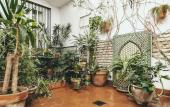 Туры в отель El Riad Andaluz Туры в отель El Riad Andaluz