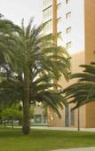 Туры в отель Apartamentos Plaza Picasso Туры в отель Apartamentos Plaza Picasso