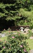 Туры в отель Solehotel Tannenhof Туры в отель Solehotel Tannenhof