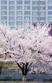 Туры в отель Kempinski Hotel Suzhou Туры в отель Kempinski Hotel Suzhou