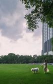 Туры в отель Kempinski Hotel Suzhou Туры в отель Kempinski Hotel Suzhou