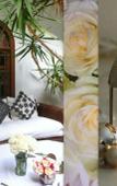 Туры в отель Minotel Riad Mandalay Туры в отель Minotel Riad Mandalay