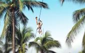 Туры в отель Vista Playa de Oro Manzanillo Туры в отель Vista Playa de Oro Manzanillo