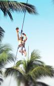 Туры в отель Vista Playa de Oro Manzanillo Туры в отель Vista Playa de Oro Manzanillo