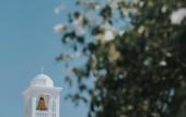 Туры в отель Saronis Hotel Agistri - Adults Only Туры в отель Saronis Hotel Agistri - Adults Only