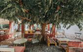 Туры в отель Saronis Hotel Agistri - Adults Only Туры в отель Saronis Hotel Agistri - Adults Only