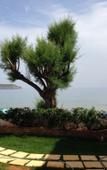 Туры в отель Hermes Beach Front Туры в отель Hermes Beach Front