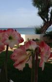 Туры в отель Hermes Beach Front Туры в отель Hermes Beach Front