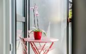 Туры в отель Hotel Milano Navigli Туры в отель Hotel Milano Navigli