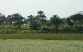 Туры в отель Home Sweet Home Luxor Apartments Туры в отель Home Sweet Home Luxor Apartments