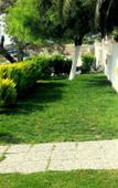 Туры в отель Tepe Hotel Alacat? Туры в отель Tepe Hotel Alacat?