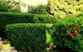 Туры в отель Tepe Hotel Alacat? Туры в отель Tepe Hotel Alacat?