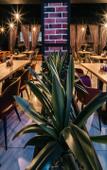 Туры в отель Fabrika Hotel Туры в отель Fabrika Hotel