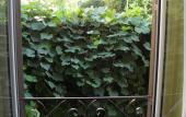 Туры в отель Daplace - Arena House Туры в отель Daplace - Arena House