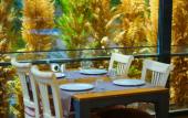 Туры в отель Palace Hotel Olive Odore Туры в отель Palace Hotel Olive Odore