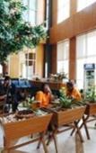 Туры в отель Diamond Plaza Hotel Suratthani Туры в отель Diamond Plaza Hotel Suratthani