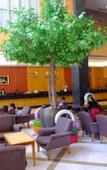 Туры в отель Diamond Plaza Hotel Suratthani Туры в отель Diamond Plaza Hotel Suratthani