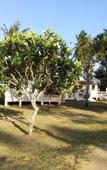 Туры в отель Jinta Beach Samui Туры в отель Jinta Beach Samui