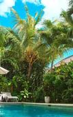 Туры в отель Villa Alice Туры в отель Villa Alice