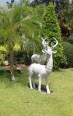 Туры в отель Diamond Beach Resort Туры в отель Diamond Beach Resort