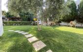 Туры в отель Sunrise Aya Hotel Туры в отель Sunrise Aya Hotel