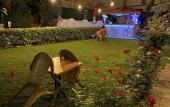 Туры в отель Sunrise Aya Hotel Туры в отель Sunrise Aya Hotel