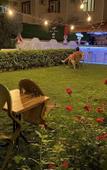 Туры в отель Sunrise Aya Hotel Туры в отель Sunrise Aya Hotel