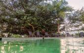 Туры в отель Comfort Inn Puerto Vallarta Golfside & Marina Туры в отель Comfort Inn Puerto Vallarta Golfside & Marina