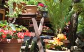 Туры в отель Plaj Hotel Туры в отель Plaj Hotel