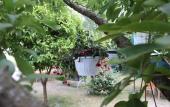Туры в отель Plaj Hotel Туры в отель Plaj Hotel