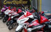 Туры в отель Lanta Thip House By Swiss-Belhotel Туры в отель Lanta Thip House By Swiss-Belhotel