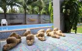 Туры в отель Lanta Thip House By Swiss-Belhotel Туры в отель Lanta Thip House By Swiss-Belhotel