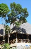 Туры в отель The Narima Bungalow Resort Туры в отель The Narima Bungalow Resort